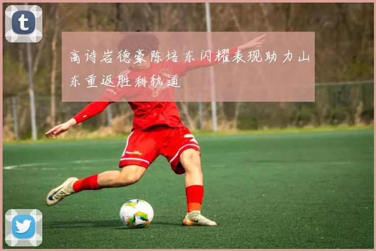 高诗岩德豪陈培东闪耀表现助力山东重返胜利轨道